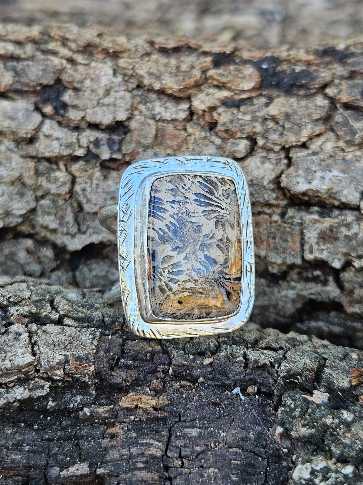  adjustable sterling silver ring showcases ancient 20-million-year-old Indonesian fossilized coral with a striking stingray pattern. Fits sizes 7-10.